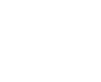 شكل النموذج